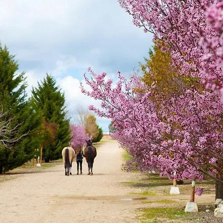בית נופש Vinas Pinilla וייאדוליד