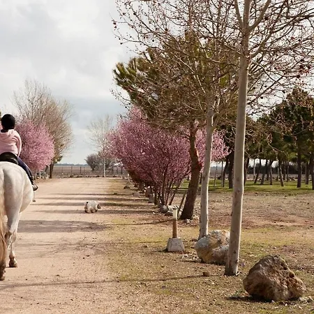 בית נופש Vinas Pinilla וייאדוליד