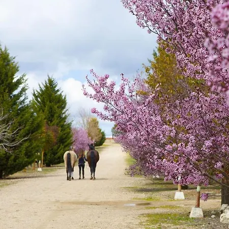 Vinas Pinilla בית נופש *