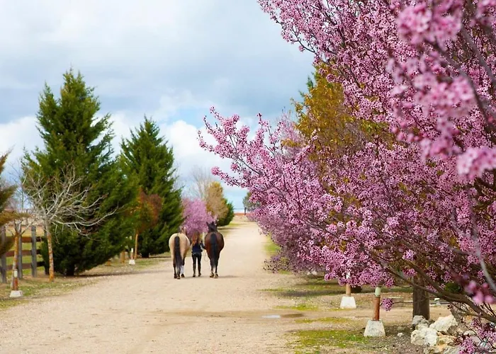 بيت للعطل Vinas Pinilla باياذوليد