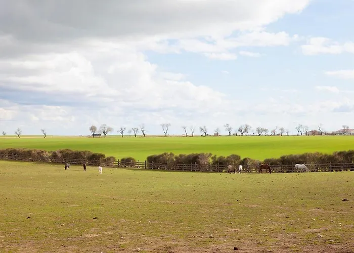 度假居 Vinas Pinilla 巴利亚多利德