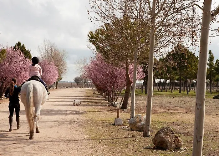 度假居 Vinas Pinilla 巴利亚多利德