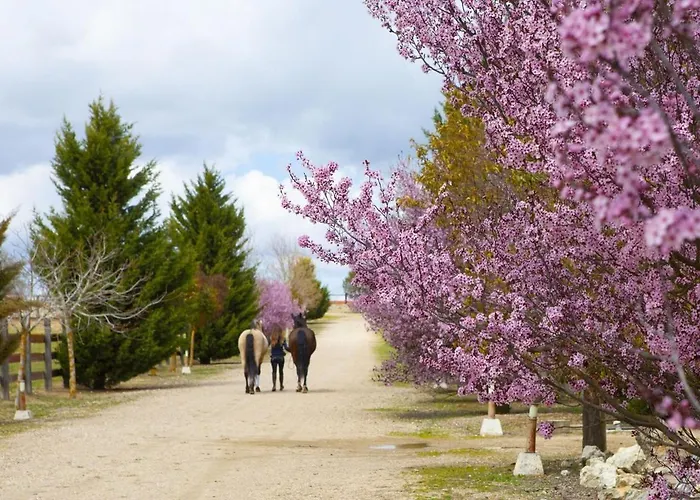 Vinas Pinilla 度假居 *